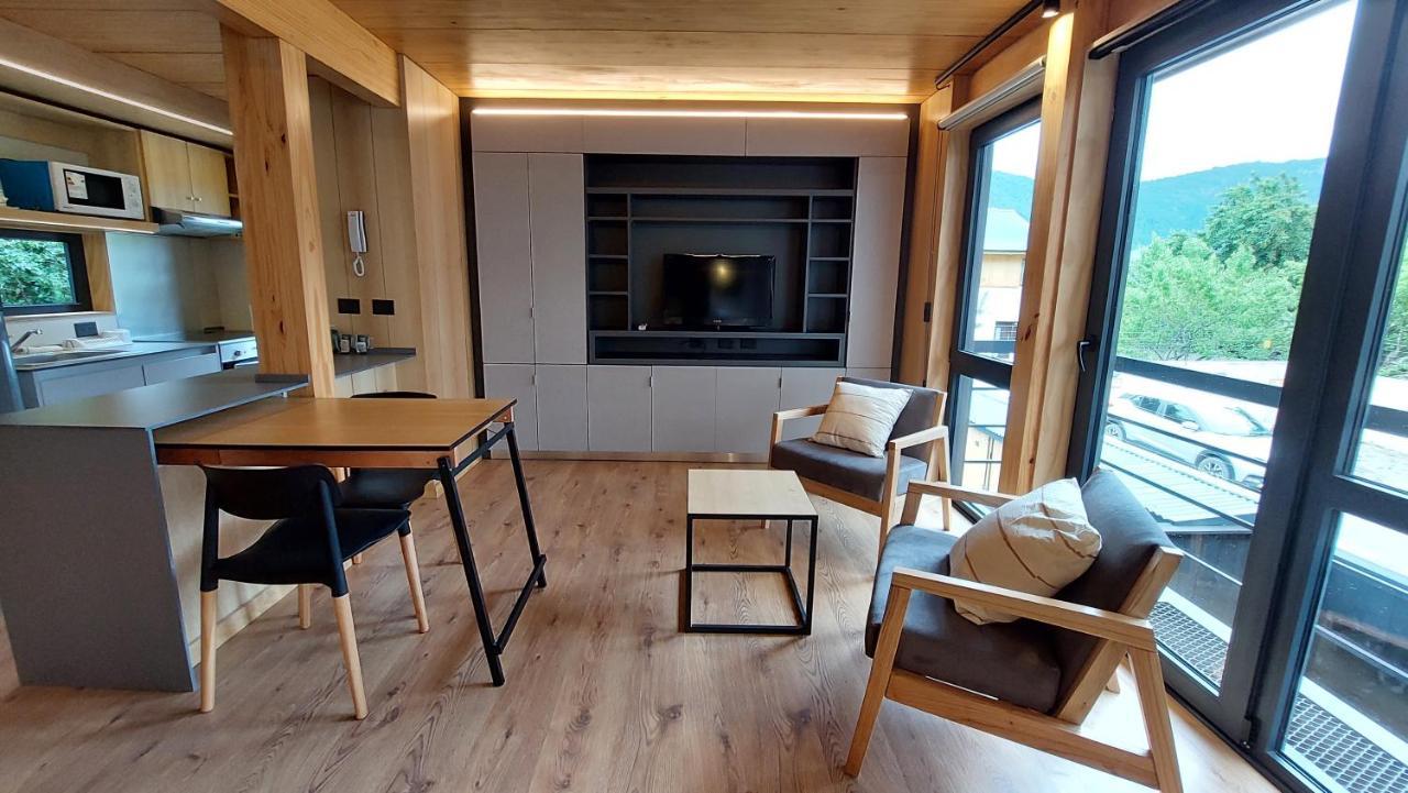 Departamento 2 Ambientes, Calido Y Luminoso, Con Buena Vista, En El Centro De Sma. 14v5 * San Martin de los Andes